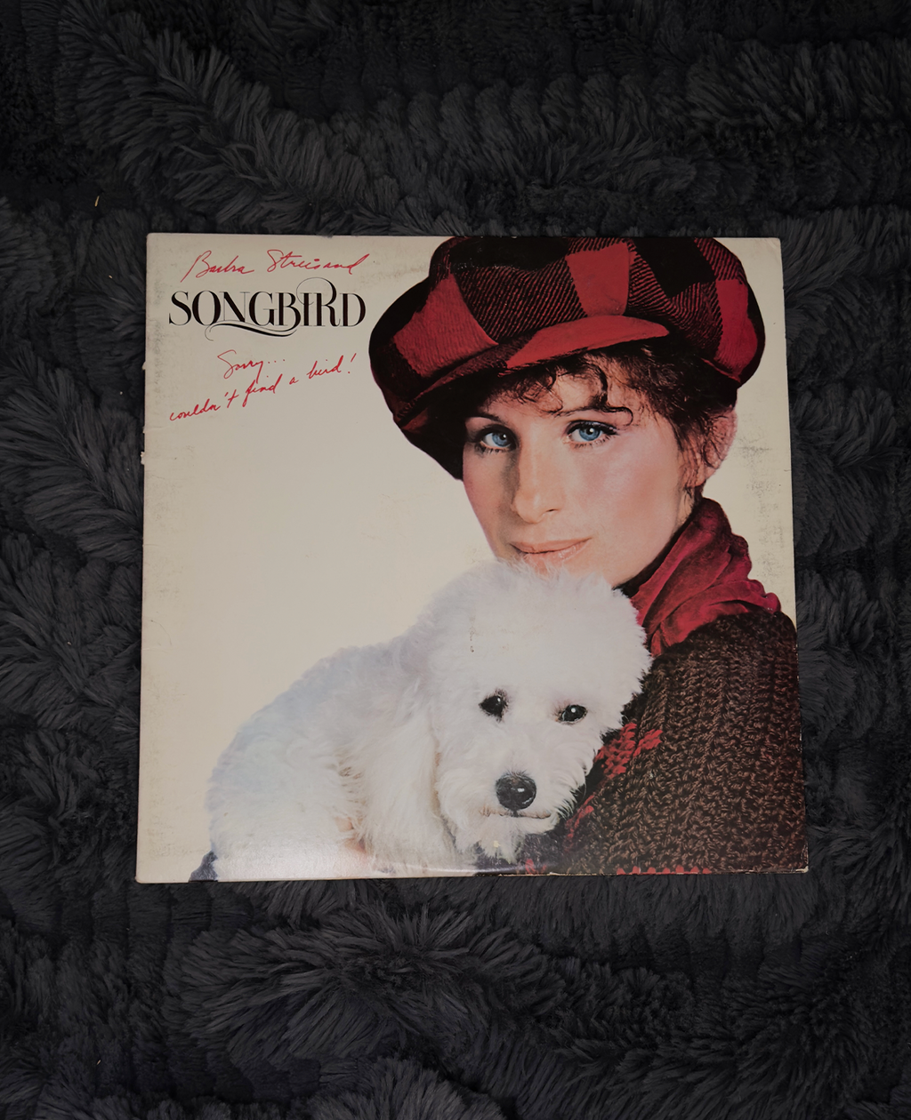 Barbra Streisand – Songbird