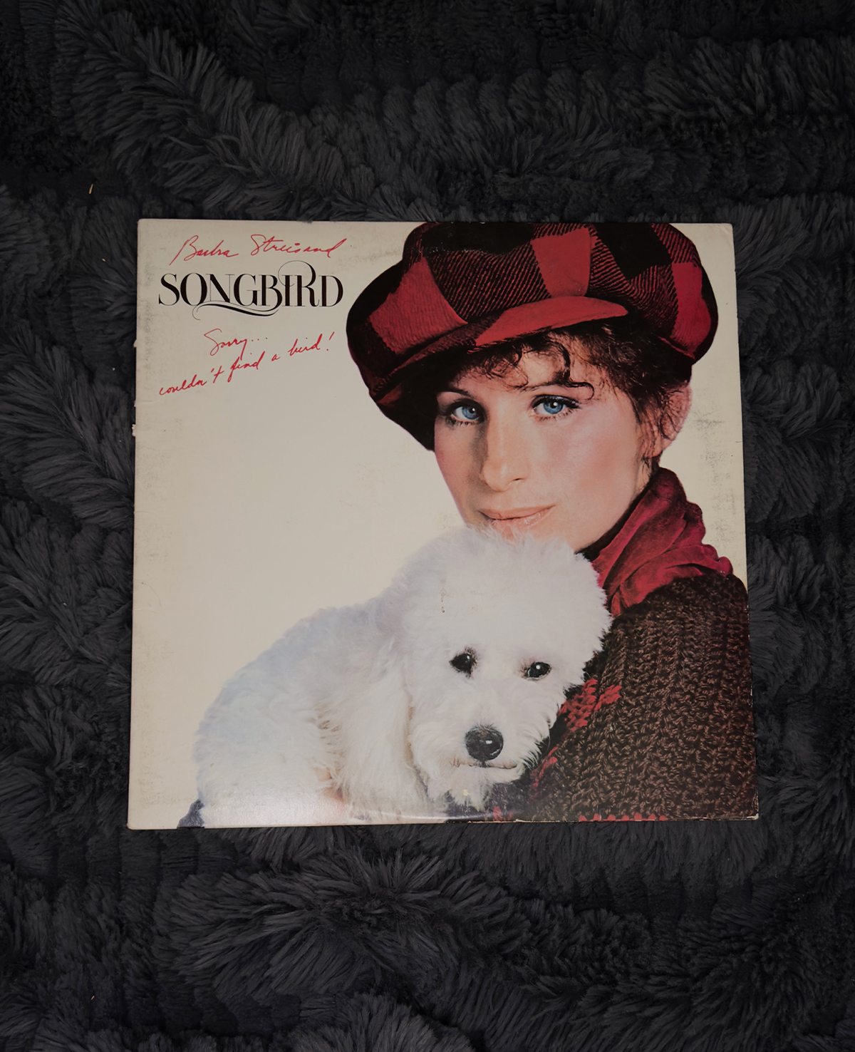 Barbra Streisand – Songbird