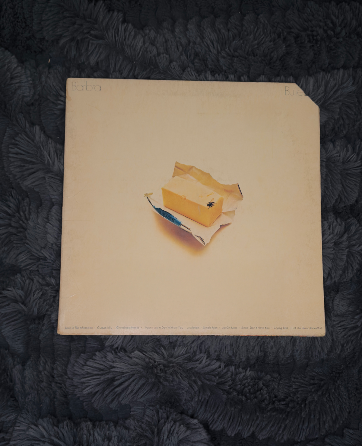 Barbra Streisand – ButterFly