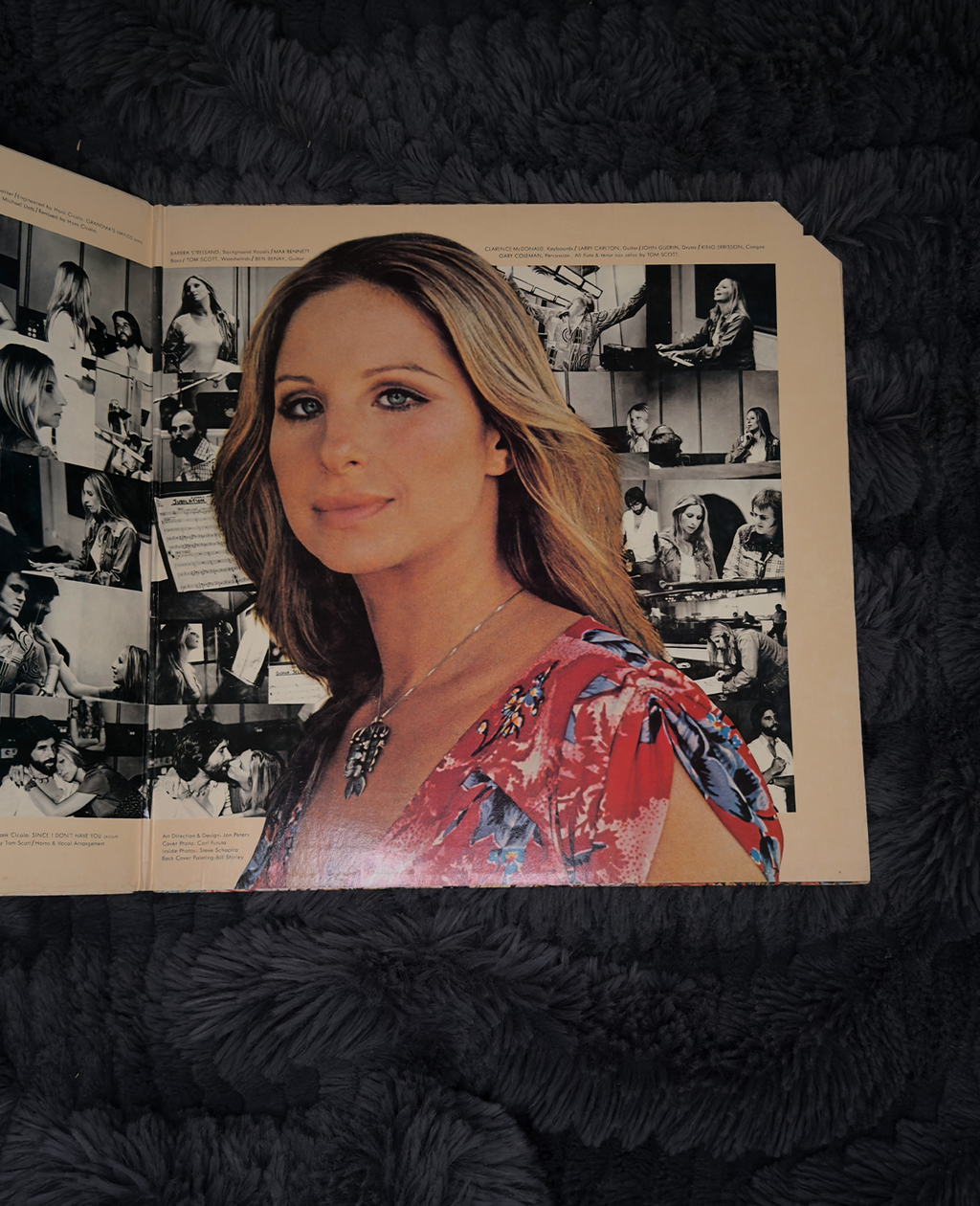 Barbra Streisand – ButterFly