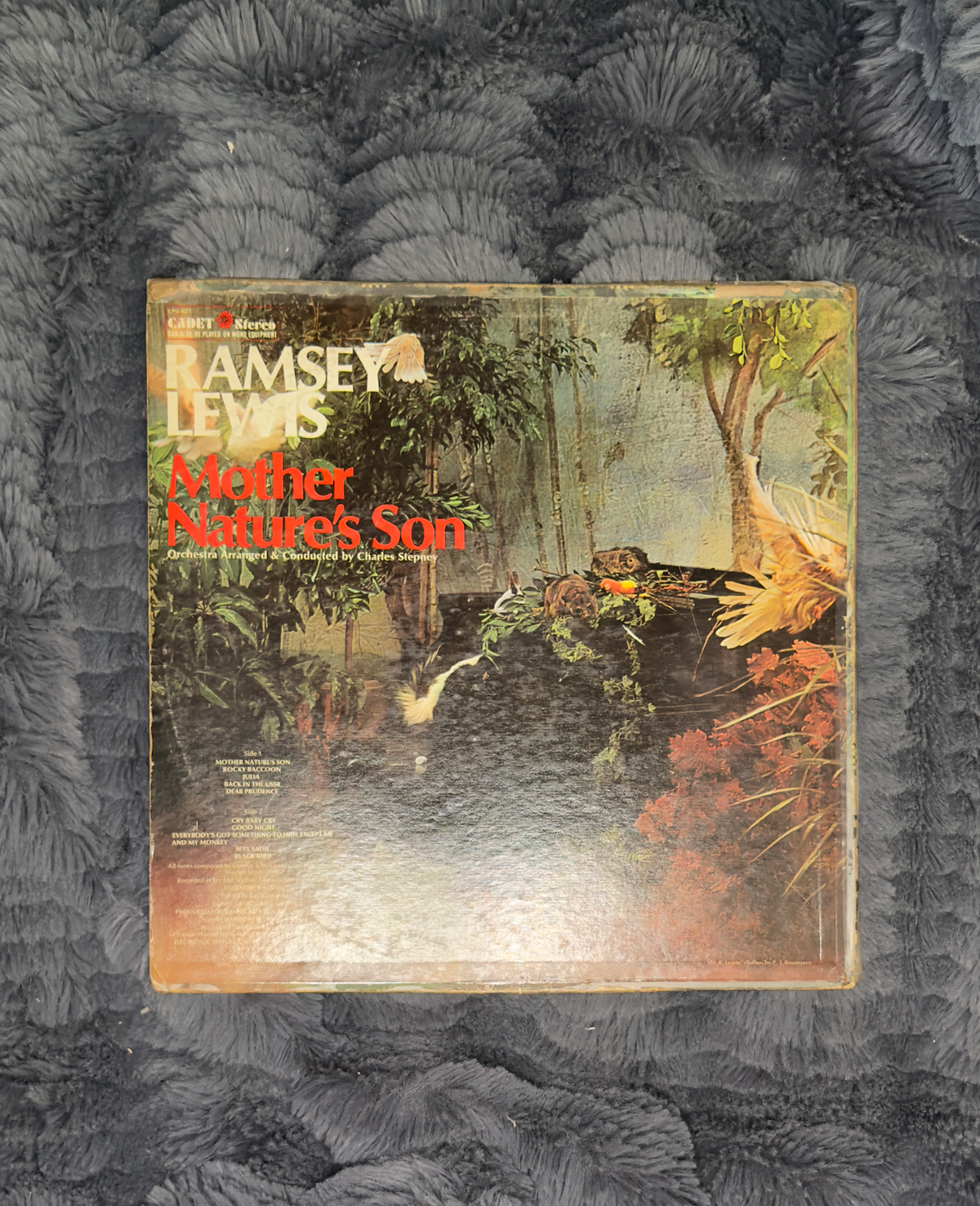 Ramsey Lewis – Mother Nature’s Son
