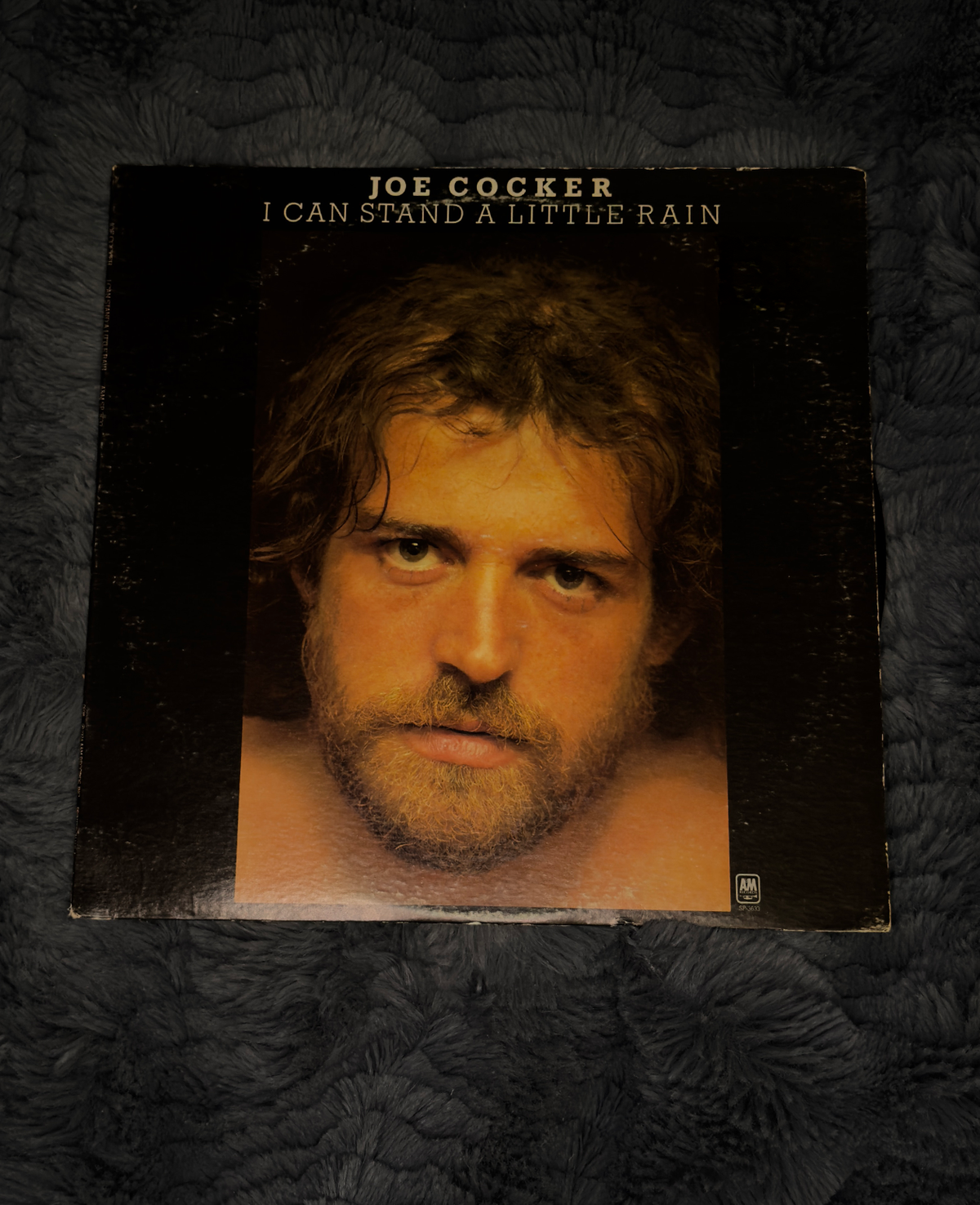 Joe Cocker – I Can Stand a Little Rain