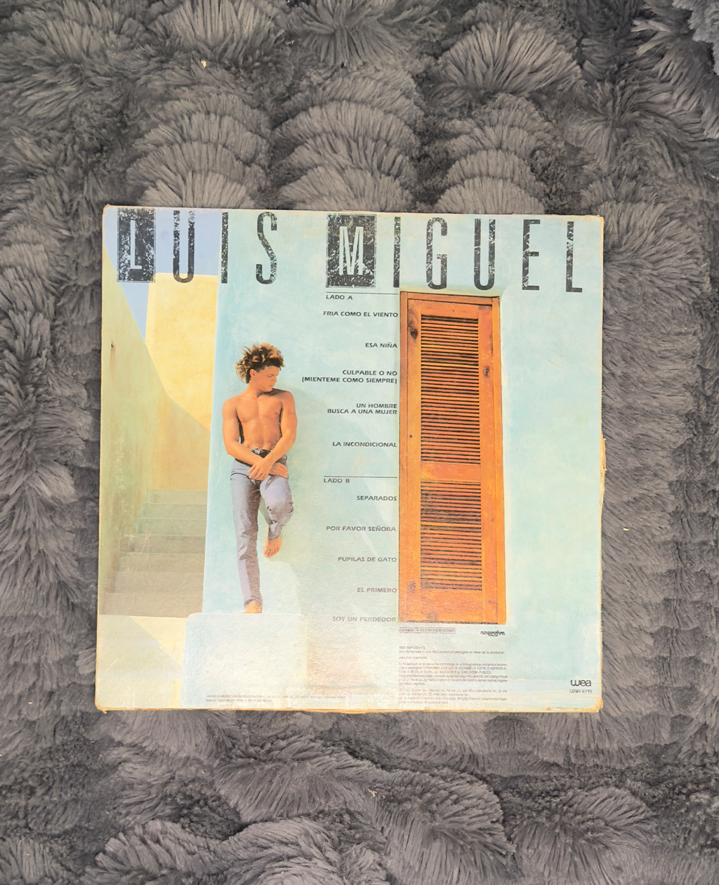 Luis Miguel - Busca Una Mujer