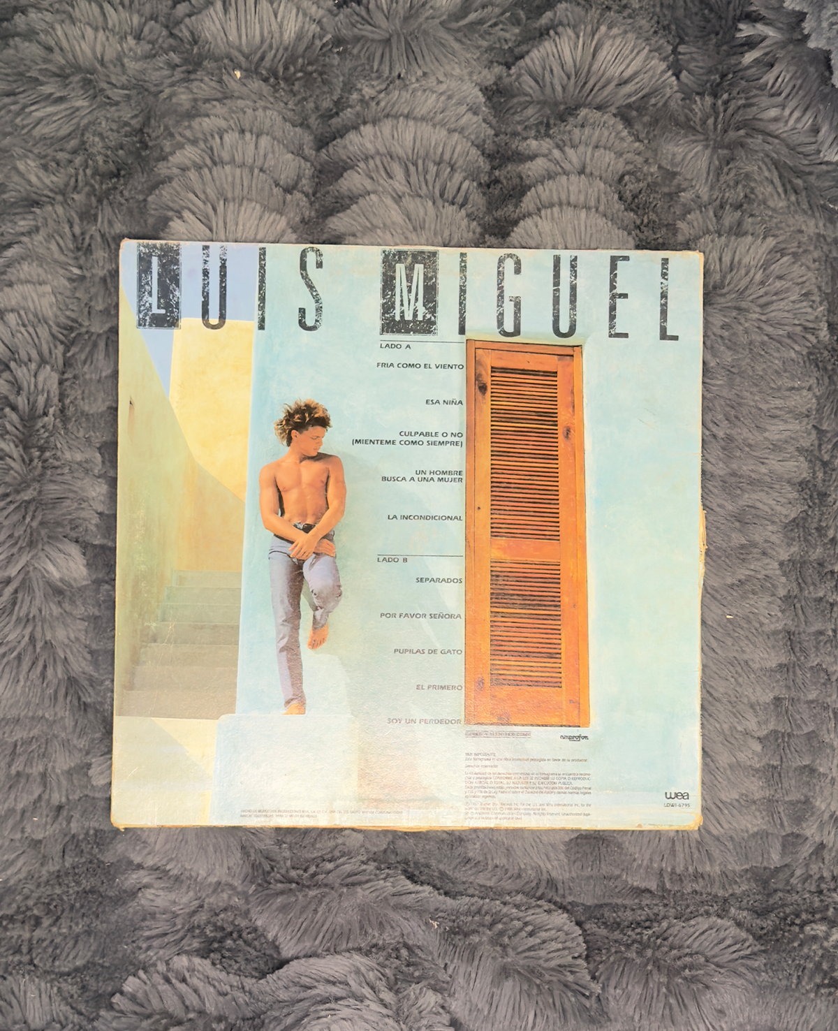 Luis Miguel - Busca Una Mujer