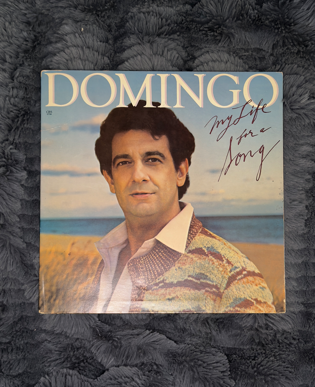 My Life for a Song – Plácido Domingo