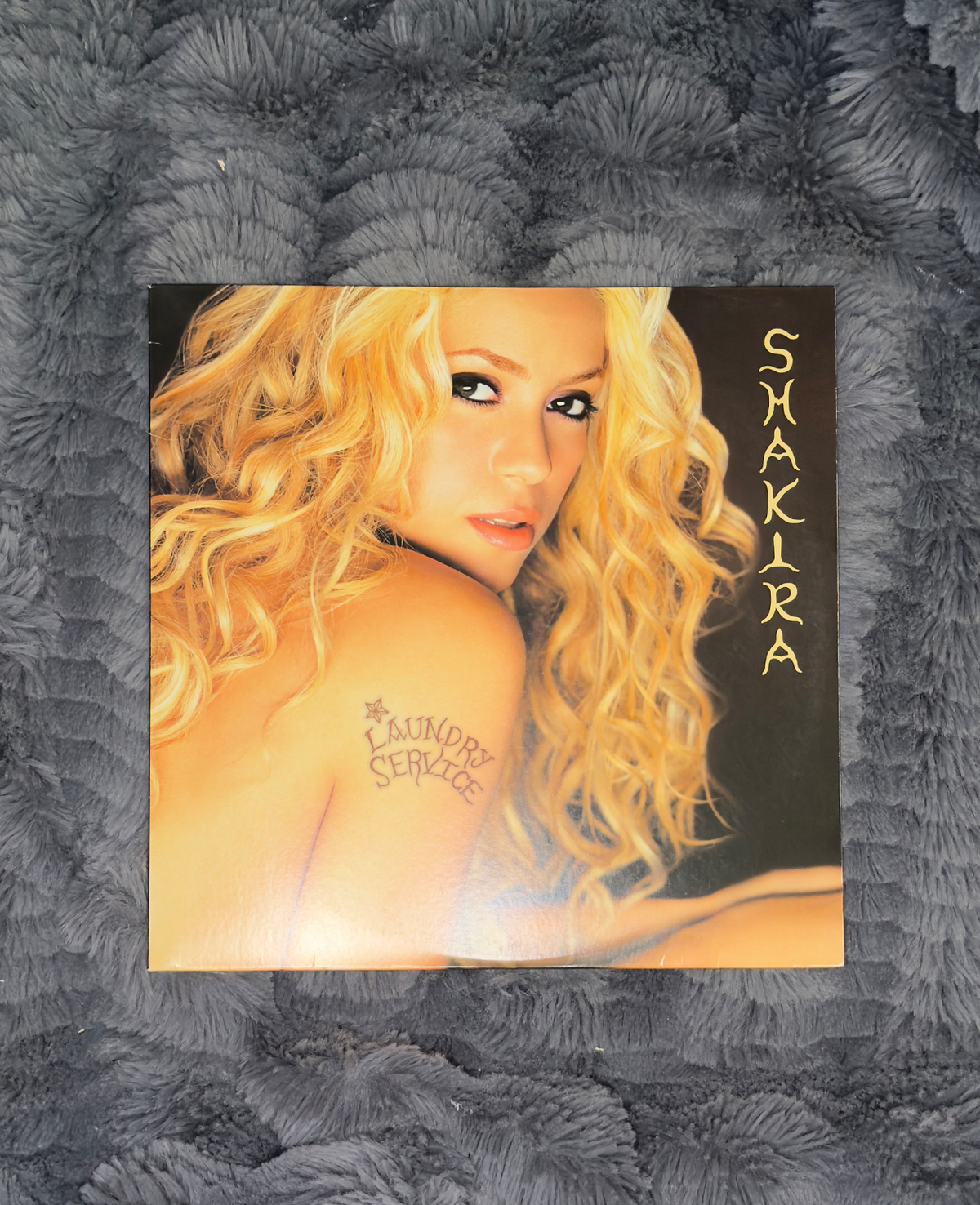 Shakira – Laundry Service